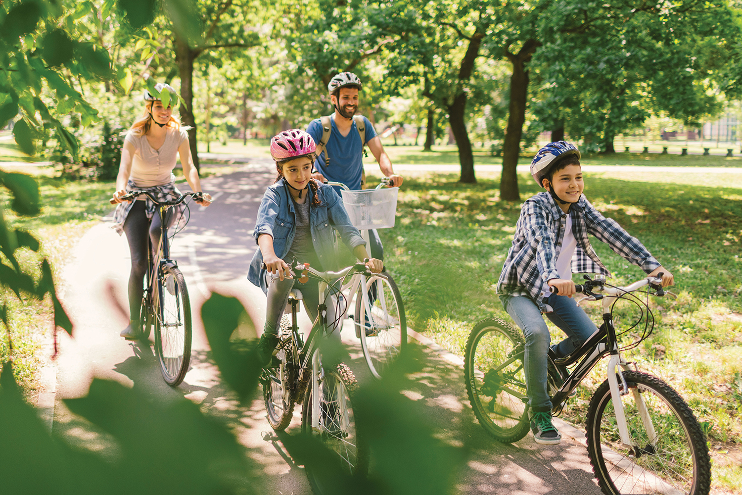 family of four cycling through a sunny, green park on a path running between trees